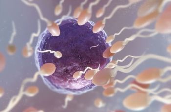 O que devo saber antes de realizar um espermograma?